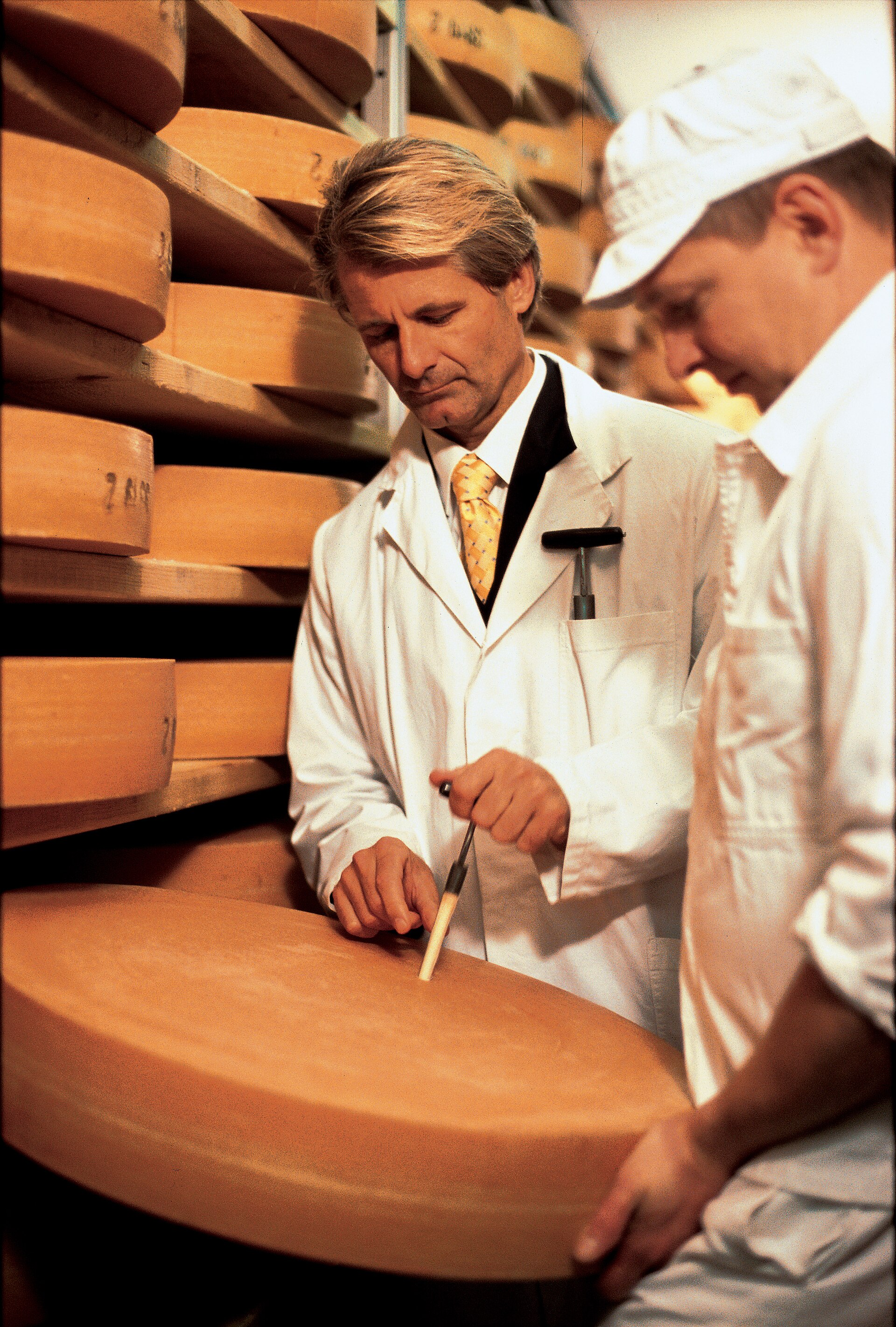 Meules de Gruyère en cave d'affinage