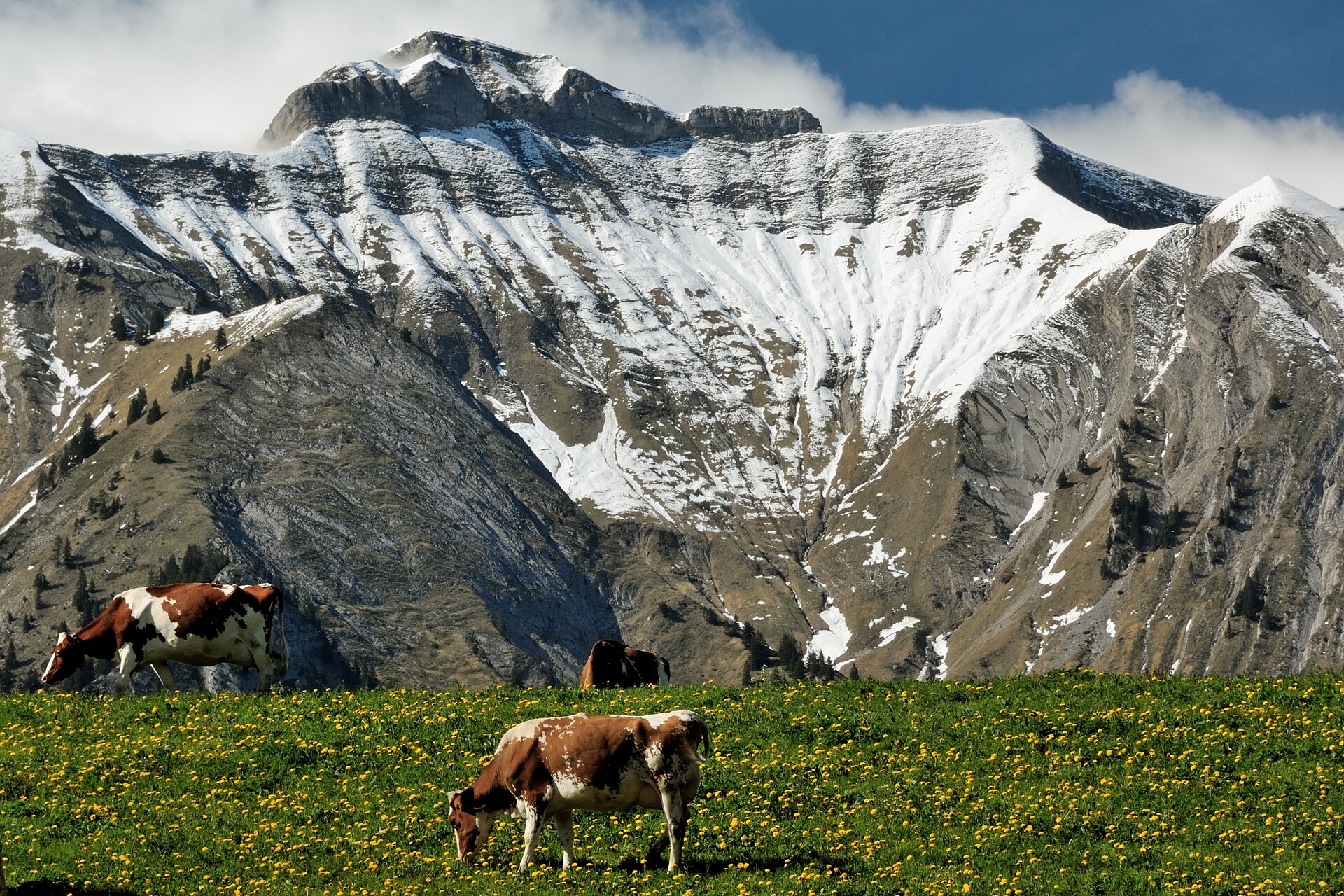 Sommets et alpages de la région gruérienne