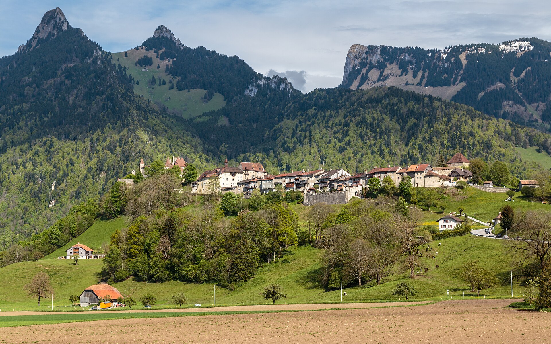Le terroir de la Gruyère au crépuscule